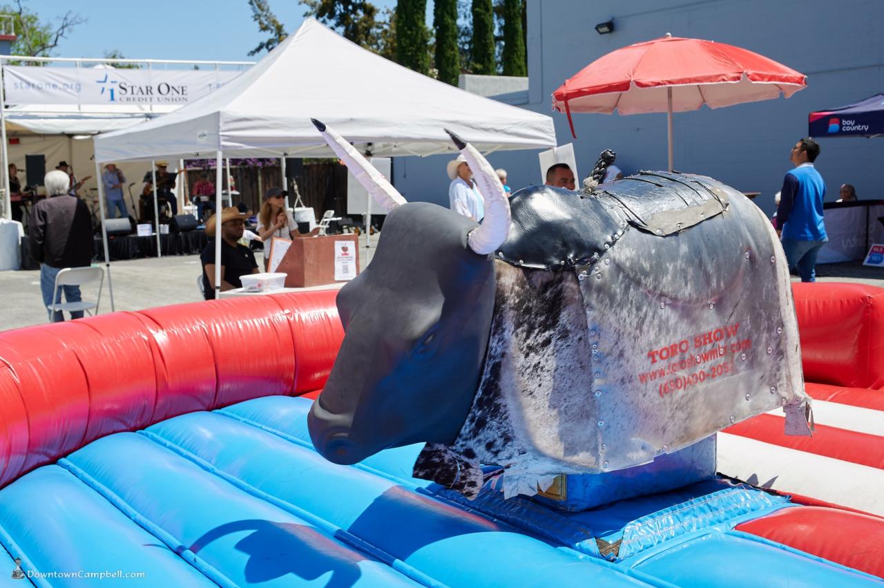Campbell seeks djs for boogie music festival