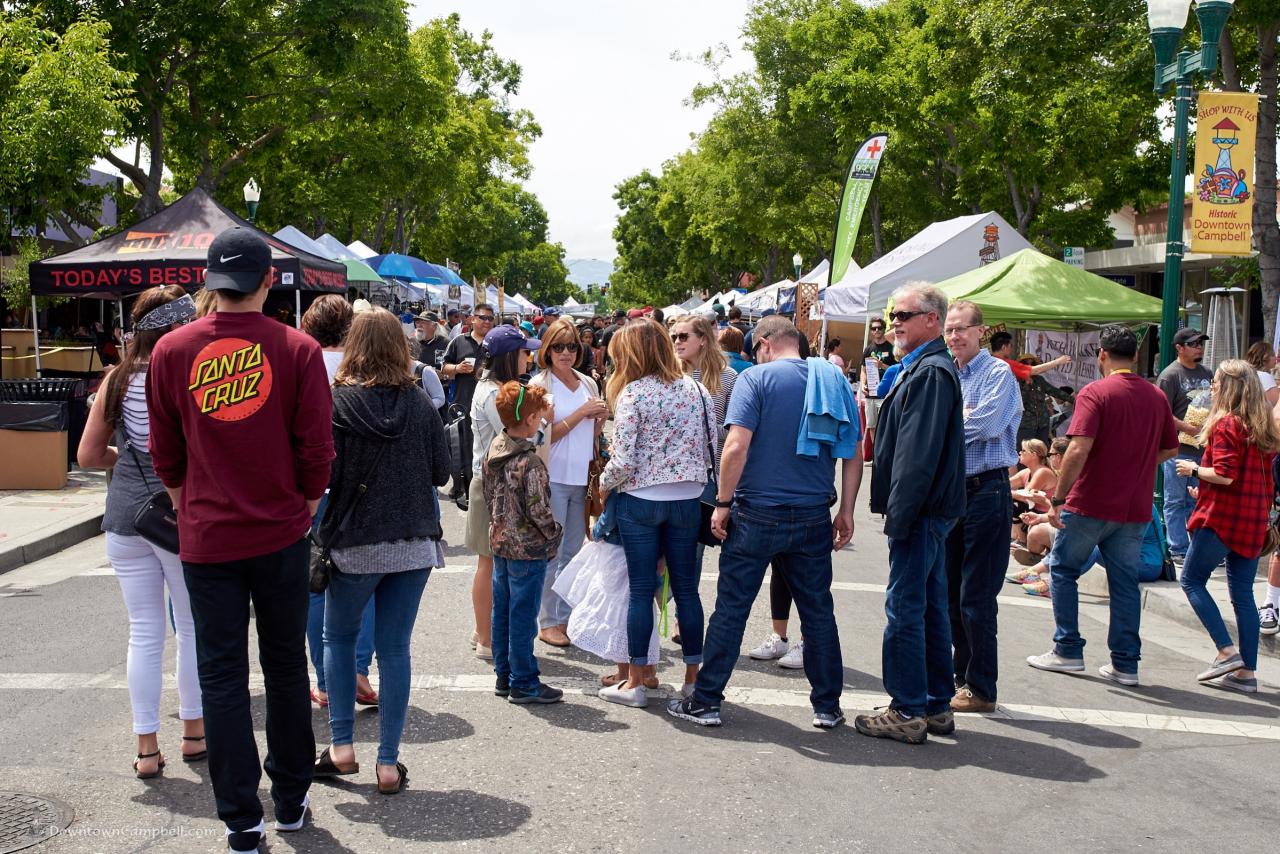 Campbell seeks djs for boogie music festival