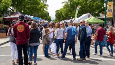 Campbell seeks djs for boogie music festival