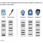 Criminalist victims fingernail clippings indicate dna match to markle