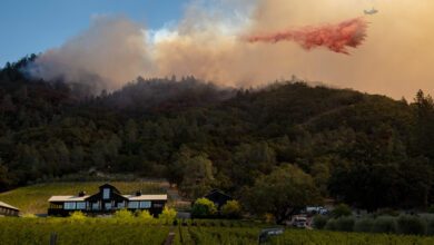 House committee asks whether california policies are to blame for wildfires