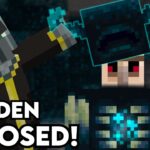 Defeat warden in minecraft