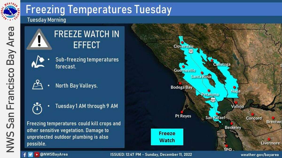 Cold snap continues in bay area this week