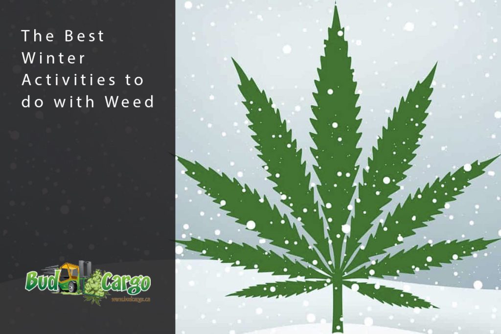 Winter cannabis grow snow frost can cold plants will survive occasional covered while post growery sensiseeds blog