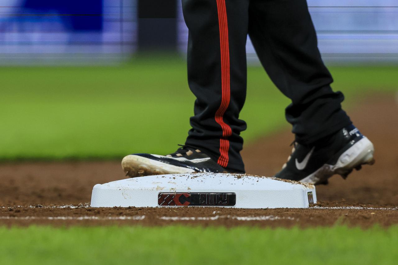 Sf giants robbie ray rotation natonal baseball webb