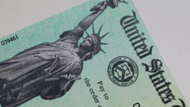 Musk team seeks access to sensitive taxpayer data at irs