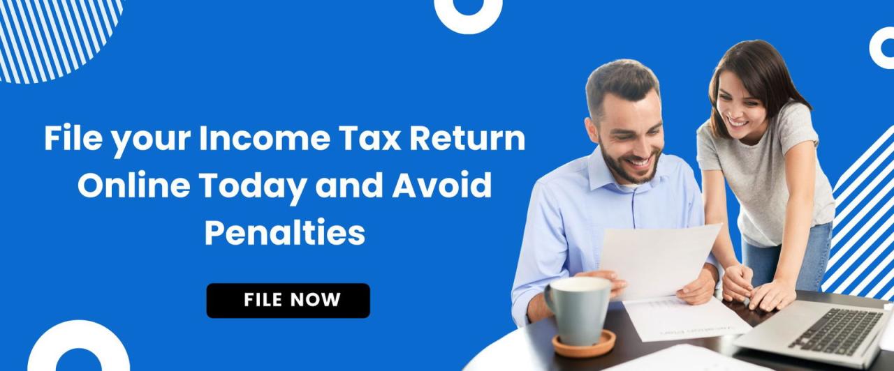 Guide filing taxes online