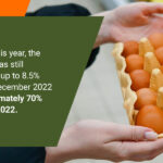 Small businesses egg shortages price hikes