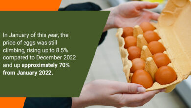 Small businesses egg shortages price hikes