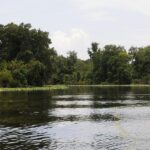 The st johns river 30 experiences to explore the scenic waterway