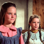 This is probably why netflix is rebooting little house on the prairie