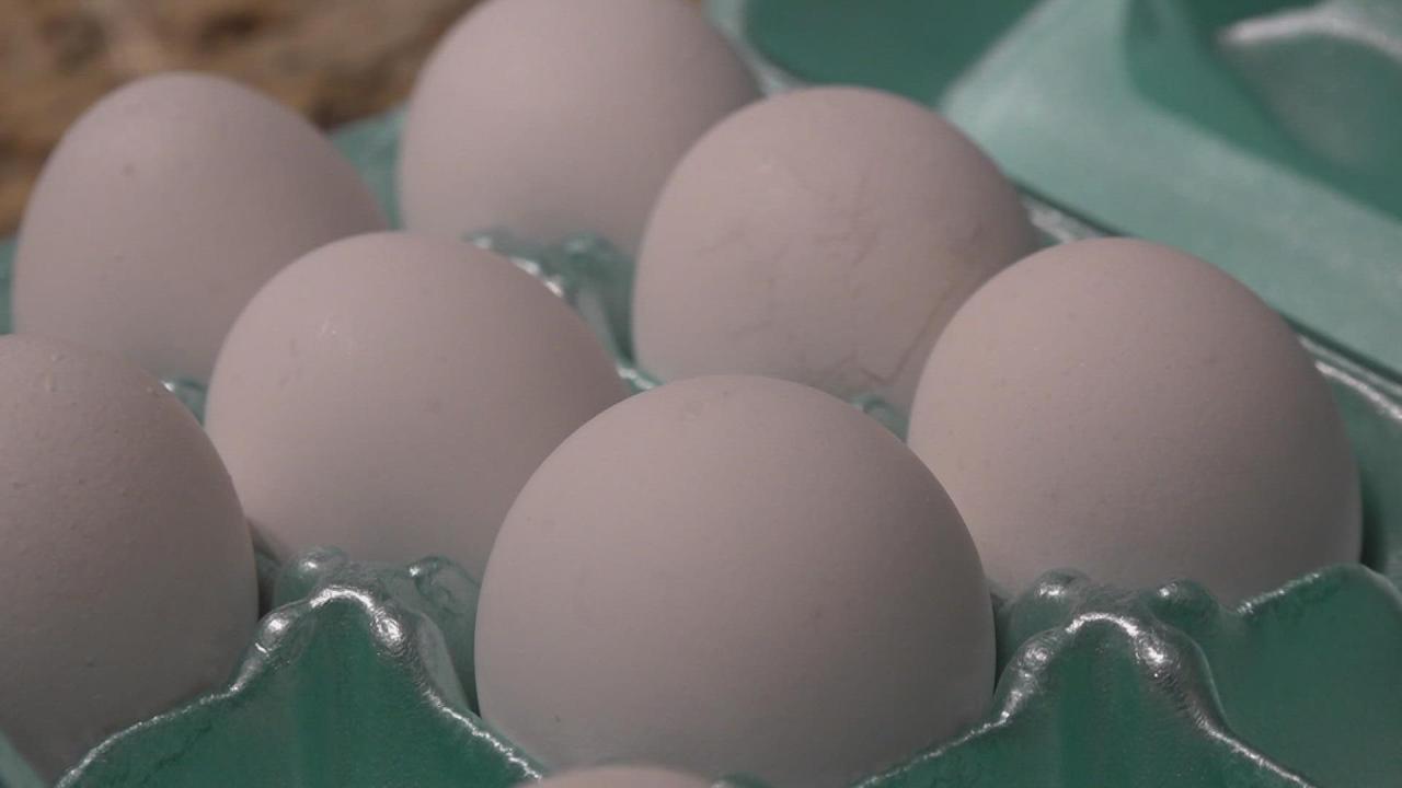 Could bird flu vaccines help tackle high egg prices experts say its not so simple