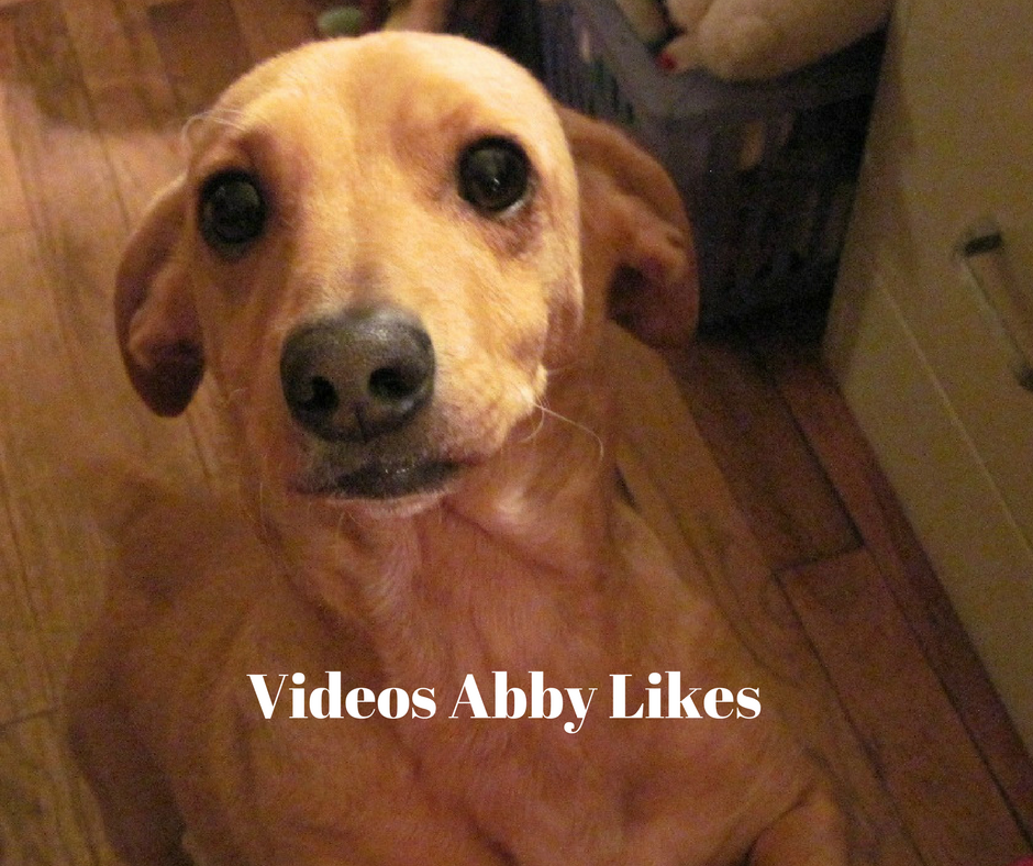 Dear abby showing off our house