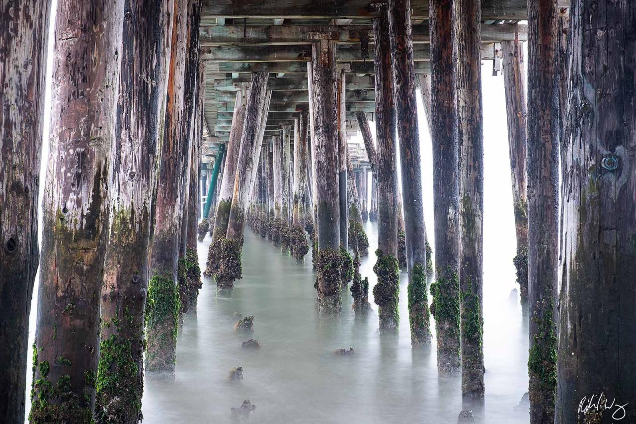 Capitola wharf survives mother natures first big test since reopening