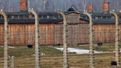 Auschwitz 80th anniversary survivors