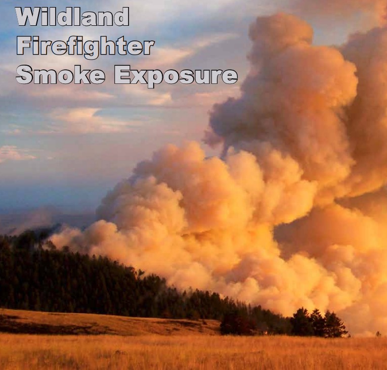 Wildfire smoke hidden health cost