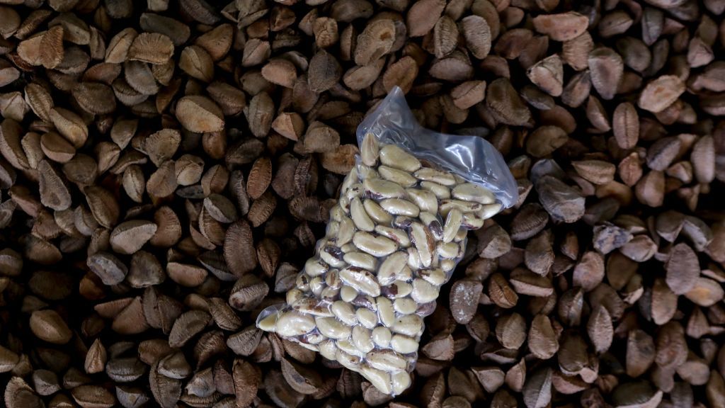 Food asphyxiation is way more dangerous than cannabis