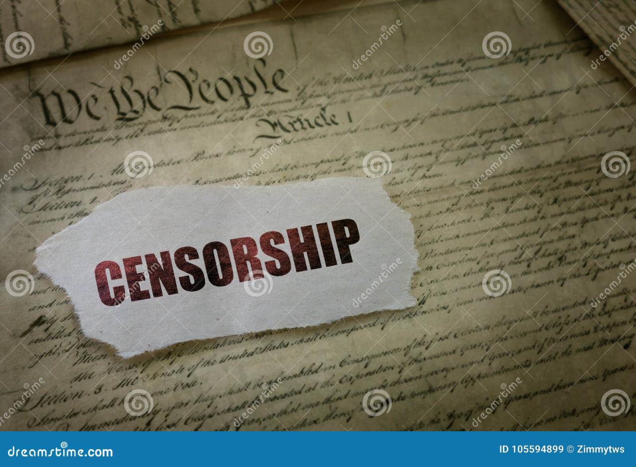 Censorship investigation free speech