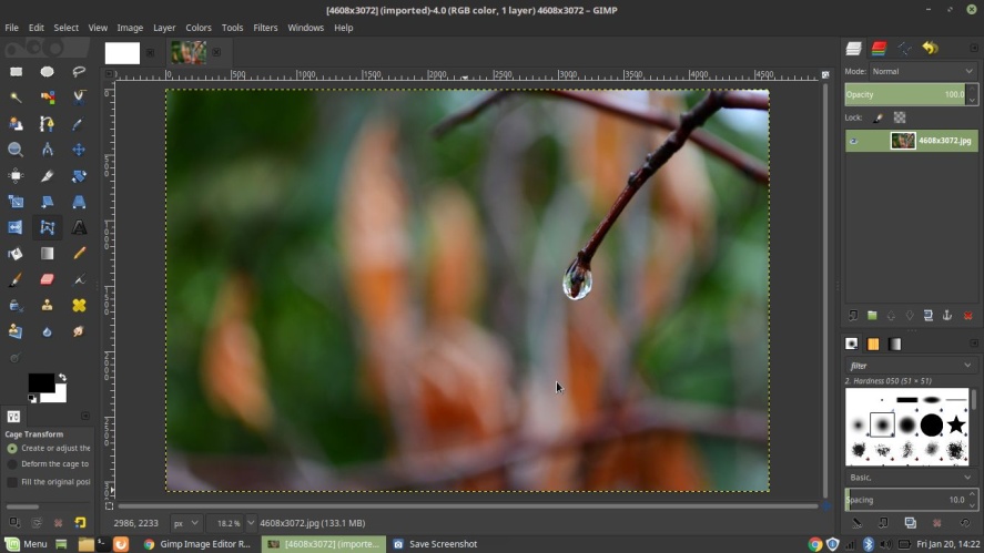 Best photo editing software