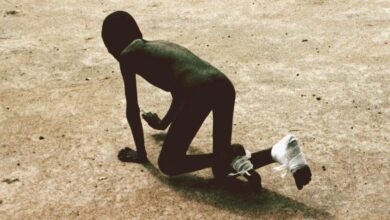 Jimmy carter guinea worm disease